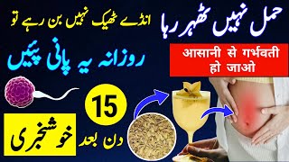 Fennel Seeds For Female Fertility and Period Problems Saunf ka Pani ke Fayde Trying to Conceive [upl. by Anabahs192]