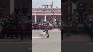 इसको कहते असली Inspiration 🤩 shorts dog viral bsf army trending [upl. by Nivlen473]