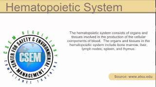 definition  hematopoietic system [upl. by Refanej972]