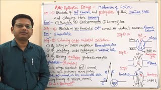 Anti Epileptic Drugs Part 02 Final  Classification amp Mechanism of Action of Antiepileptic Drugs [upl. by Iccir894]