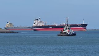 Shipspotting Rotterdam 07 2023 [upl. by Mutat137]