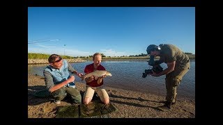 VISblad TV  feedervissen op barbeel [upl. by Elenaj]