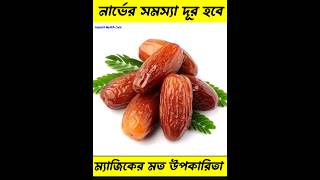 নার্ভের সমস্যা দূর হবে Nerve problem shorts nerve nerveproblem [upl. by Atenek]