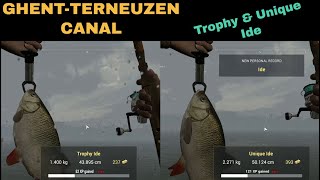 Fishing Planet GhentTerneuzen Canal Netherlands Ide Trophy amp Unique [upl. by Amiarom]