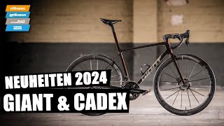 GIANT TCR 2024 🔥 und richtig schnelle Laufräder von CADEX [upl. by Hajidak518]