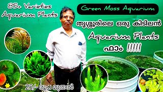 ഒരു കിടിലൻ അക്വേറിയം പ്ലാന്റ്സ് ഫാം   Aquarium Plants Farm Kerala  Green Moss Aquarium [upl. by Roht]