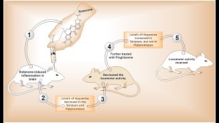 How to make a graphical abstract using ChemDraw   Graphical abstract of Research [upl. by Kreiker]