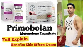 Primobolan Explain In Hindi  Primobolan Metenolone Enanthate [upl. by Naara]