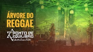 Ponto de Equilíbrio  Árvore do Reggae DVD Juntos Somos Fortes [upl. by Ynej894]