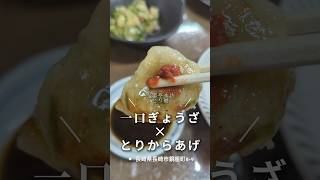 長崎市銅座町にある「宝雲亭本店とり福」にてディナーです。一口餃子、鶏の唐揚げを頼みました！銅座町ディナー 銅座町居酒屋 銅座町グルメ 銅座町 長崎 くぼゆう食べ歩きレビュー くぼゆう [upl. by Liscomb]