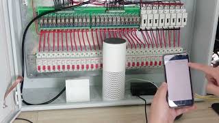 【home automation DIY by Node Red10】voice control with Amazon alexa [upl. by Ardnaed]