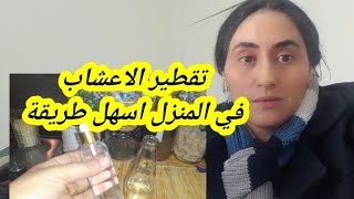 تقطير الاعشاب العطرية في المنزلكيف صنع مقطر الورد الازير الزعتر في المطبخ l hydrolat fait maison [upl. by Neela]