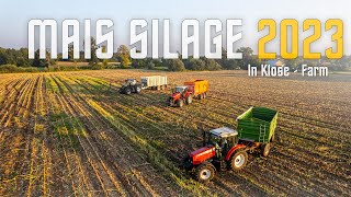 Mais Silage 2023  In Klose Farm 🇵🇱  MPK Team [upl. by Llerahs]