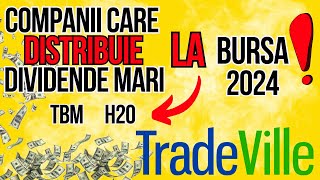 5 Companii care distribuie dividende mari la bursa in 2024  Dividende Tradeville [upl. by Aivart]