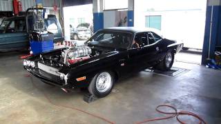 1600HP Dodge Challenger Dyno Run Australia [upl. by Campagna]