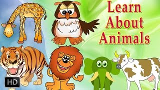 Learn About Animals  Animal Sounds  Learning Animals For Toddlers  Zoo Animals [upl. by Ylrac414]