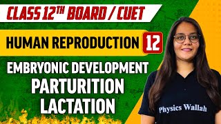 Human Reproduction 12  Embryonic Development Parturition Lactation  Class 12thCUET [upl. by Natfa]