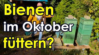 Geht das Live Bienen im Oktober füttern mit Zuckerwasser 21 Lüneburger Stülper u Mini Plus [upl. by Jasik]