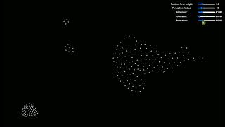 Visualizing Boids A Flocking Simulation [upl. by Ainitsirc950]