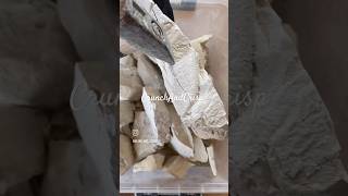 Slate Stone Splitting ASMR asmr slatepencil slatestone shorts viral [upl. by Annahsat361]