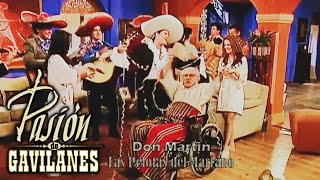 Pasion de Gavilanes Don Martin 50  Cumpleaños de Martin [upl. by Janeva700]