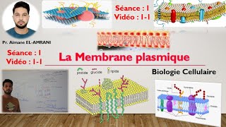 Vidéo 11  Structure et composition de la membrane plasmique  les phospholipides [upl. by Burack]