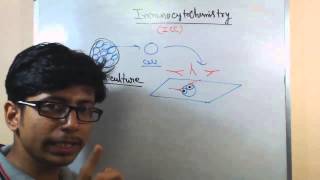 Immunocytochemistry lecture principle and procedure [upl. by Jacquenetta]