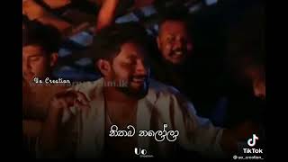 Salena lelena daluwa wilasa cover songසරා  nadagamkarayo [upl. by Euqinmod]