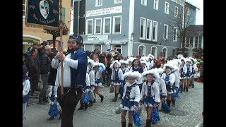 Video vom Faschingszug in Waging 2019 [upl. by Oninrutas]