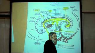 INTRO TO HUMAN EMBRYOLOGY PART 2 by Professor Fink [upl. by Pallua250]