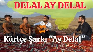 Delal Ay Delal  Strana Kurmancî Kurdî  Kürtçe Müzik [upl. by Gonick836]