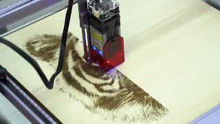 Atomstack A5 Pro Laser Engraving Machine [upl. by Ardnaxila]