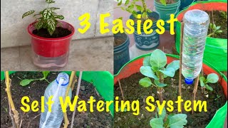 3 Easiest Self Watering System For Your Plants [upl. by Onateyac329]