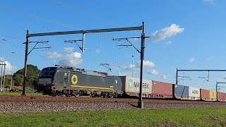 Siemens Vectron X4E 620 Beacon Container trein 11102024  Valburg [upl. by Cattan221]