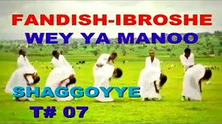 BEST SHAGGOYYE OROMO Track 07FANDISHE amp IBROSHEWEY YA MANO [upl. by Azenav287]