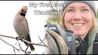 A farewell to winter  Wildlife Photography Vlog  British Nature [upl. by Lessur]