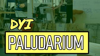 1 Paludarium Unterschrank DIY 🪚🪵 [upl. by Corkhill]