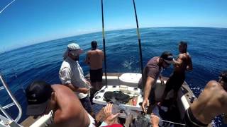 Jervis Bay Marlin fishing [upl. by Marsland592]