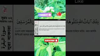 সুরা আল বাকারাহ আয়াত ২৫২  Surah Al Baqarah ayat 252 shorts ismeazam islamicvideo [upl. by Fafa215]