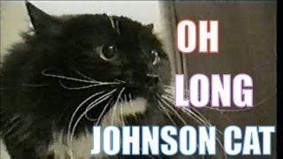 Talking Cat Saying quotOh Long Johnsonquot [upl. by Roch]