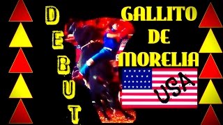 DEBUT EN USA  GALLITO DE MORELIA 2016 [upl. by Elorac]