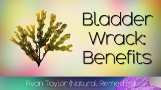 Bladderwrack Benefits for Health [upl. by Roselane]