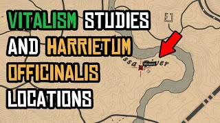 Vitalism studies and 5 Harrietum Officinalis locations in red dead online [upl. by Artenek]