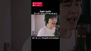 あいみょん  Marigold cover kyuhyun  スーパージュニア キュヒョン kpop jpop [upl. by Halli]