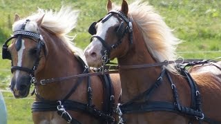 8 KarlStülpnerRundfahrt 2016 [upl. by Taddeusz288]