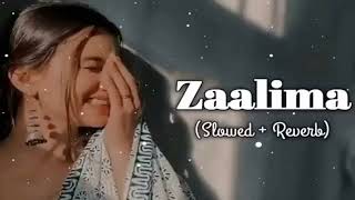 Zaalima SlowedReverb Arijit Singh  Lofi Song  Prashant [upl. by Slaohcin382]