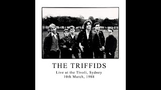 The Triffids  Live at The Tivoli Sydney 10031988 Part 1 [upl. by Riamu]