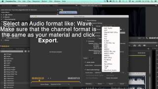 EBU R128 ATSC A85 Loudness Normalisation in Premier Pro [upl. by Vashtee820]