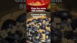 German Plum Streusel Cake [upl. by Yelssew]