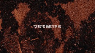 Hozier  Too Sweet Official Lyric Video [upl. by Enna]